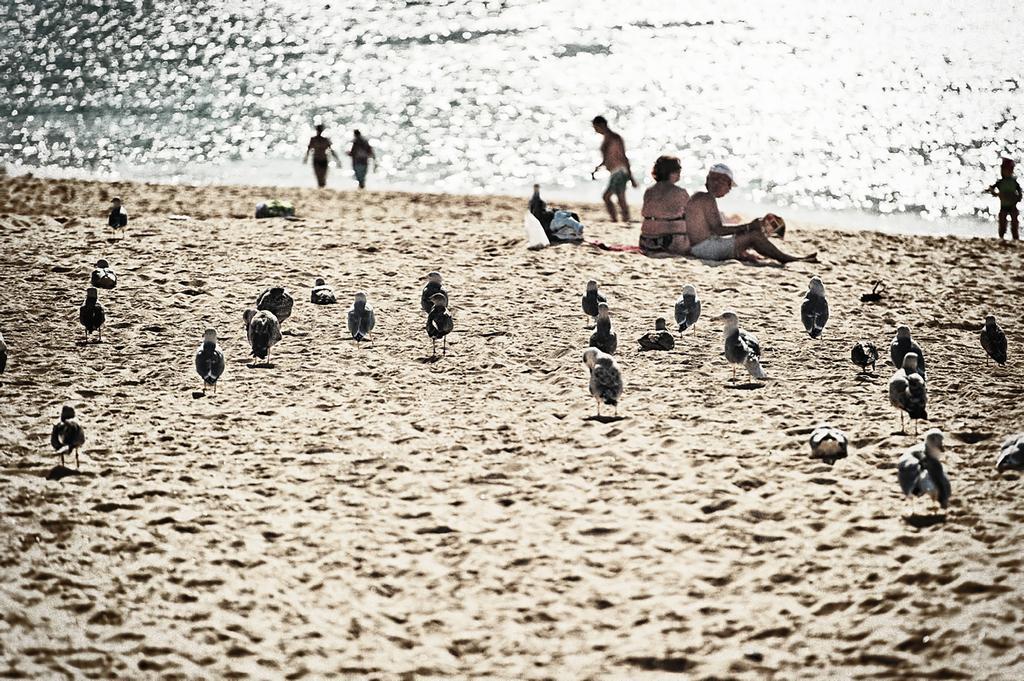 Rosamar Apartamentos Armação de Pêra Eksteriør billede